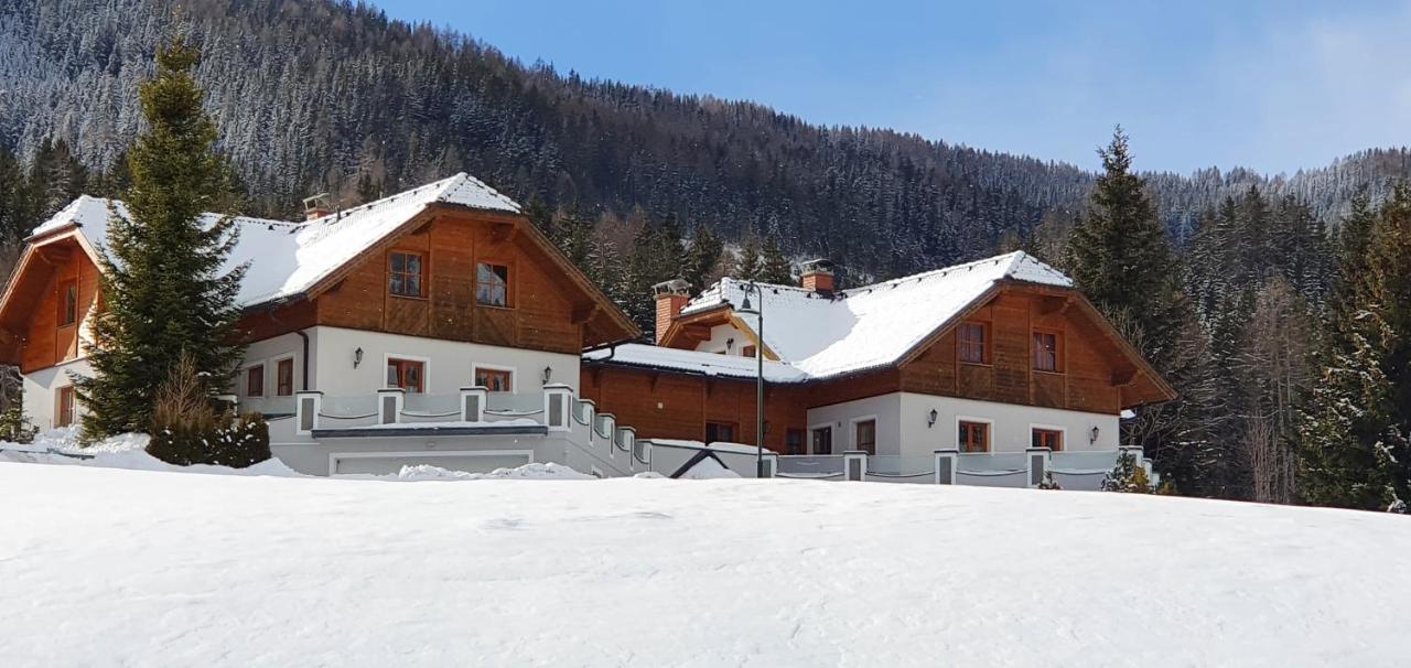 Ferienhaus Alpenblick Krakauschatten Luaran gambar